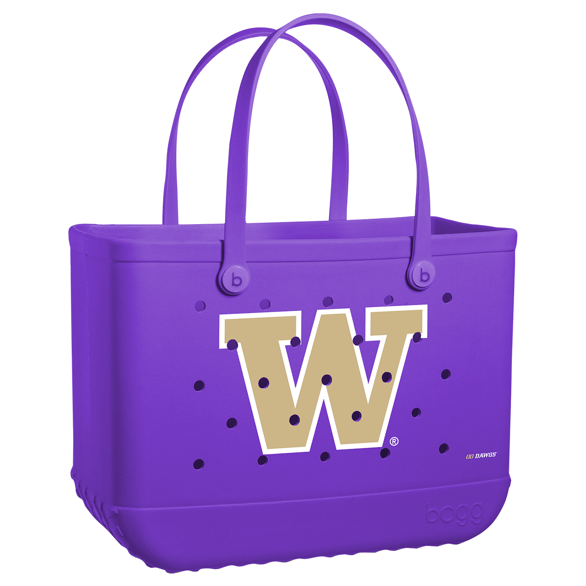 Original - Washington Huskies H1