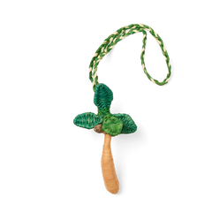 'd & Charmed - Raffia Palm R2